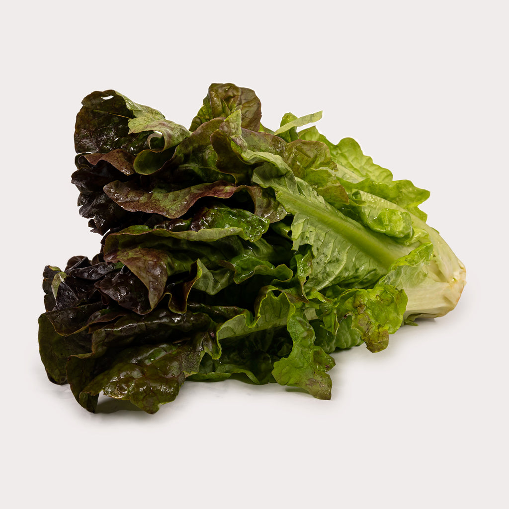 Fresh Veggies
