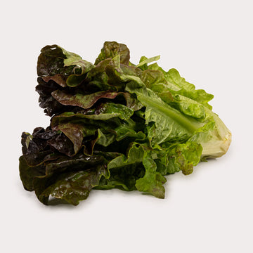 Fresh Veggies
